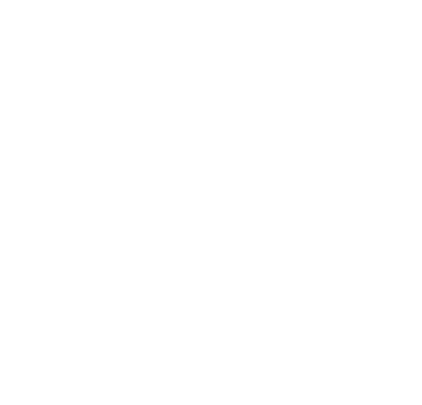 João Fonseca - Freelance Graphic Designer | Carlsberg