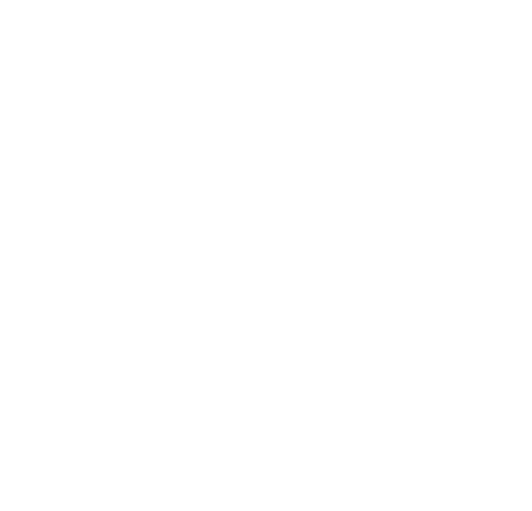 João Fonseca - Freelance Graphic Designer | Galp