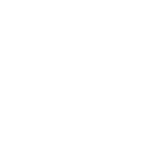 João Fonseca - Freelance Graphic Designer | Sana