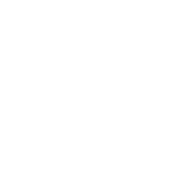 João Fonseca - Freelance Graphic Designer | Sonae