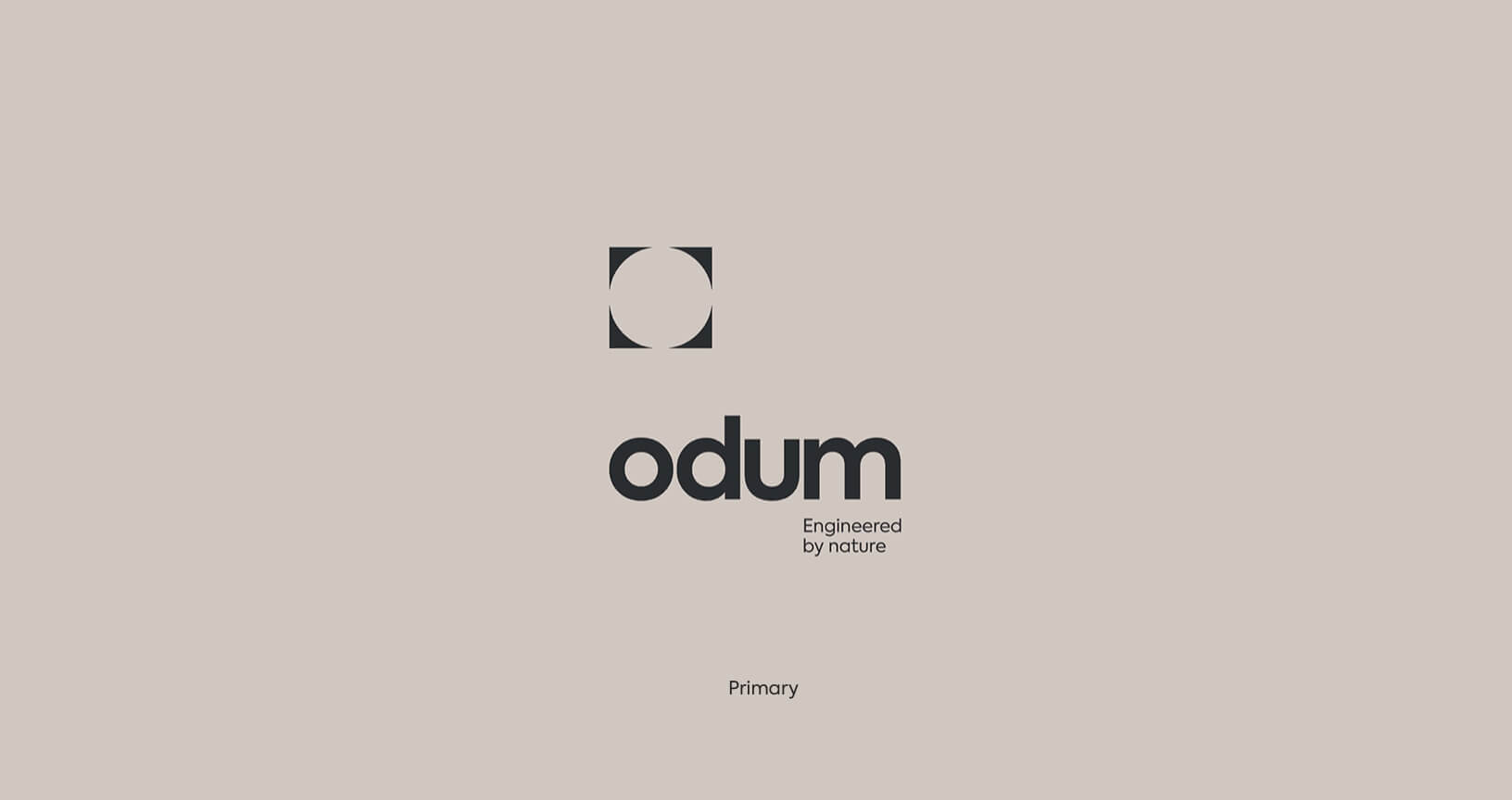 João Fonseca - Freelance Graphic Designer | Odum