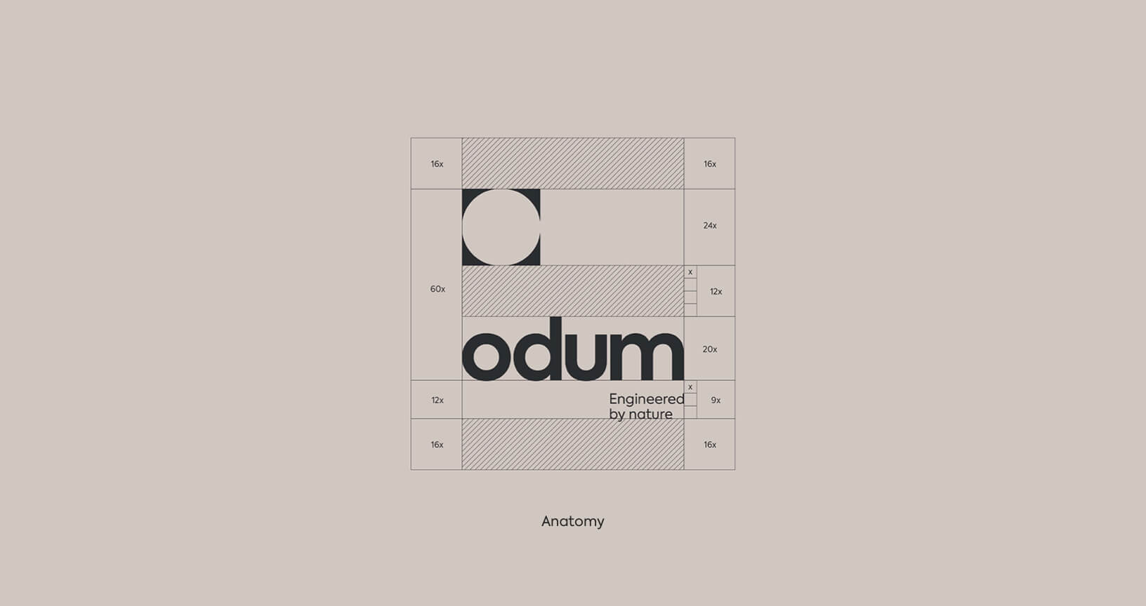 João Fonseca - Freelance Graphic Designer | Odum