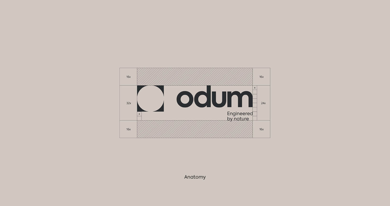 João Fonseca - Freelance Graphic Designer | Odum